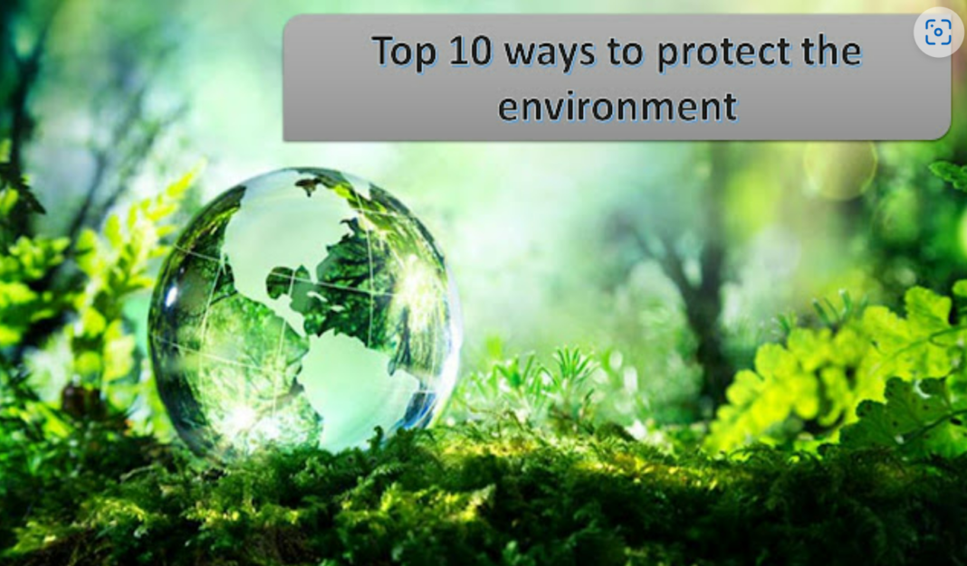 10-ways-to-protect-the-environment-pakskyline