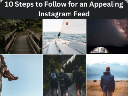 How To craft an Impressive Instagram Feed: A Comprehensive guideline